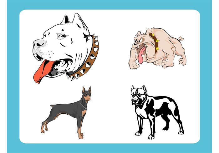Tongue teeth spikes Spiked Pit bull pet Pedigree head Domesticated dog vector comic collar cartoon bulldog breed animal 