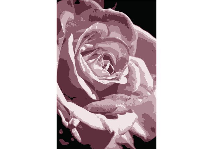 roses rose flower vector flower floral duotone 