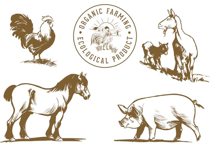 vintage village vector sticker silhouette sheep set rooster retro ranch pig paint nature meat mammal life label isolated illustration and painting illustration icon horse hog Hen hand drawn goat fauna farm eggs drawing countryside country collection cockerel chicken art animal 