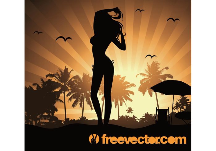 woman vacation trees tourist tourism sunset sunrise summer silhouette sexy seagulls paradise palms hot holiday girl exotic birds beach 