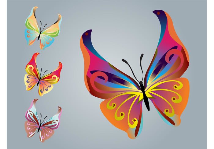 wings spring insects flying fly fauna decorations colorful butterflies antennas animals 