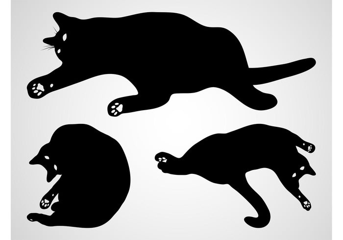 Tails silhouettes rest play pets paws Felines Domesticated animals cats Breeds animals 