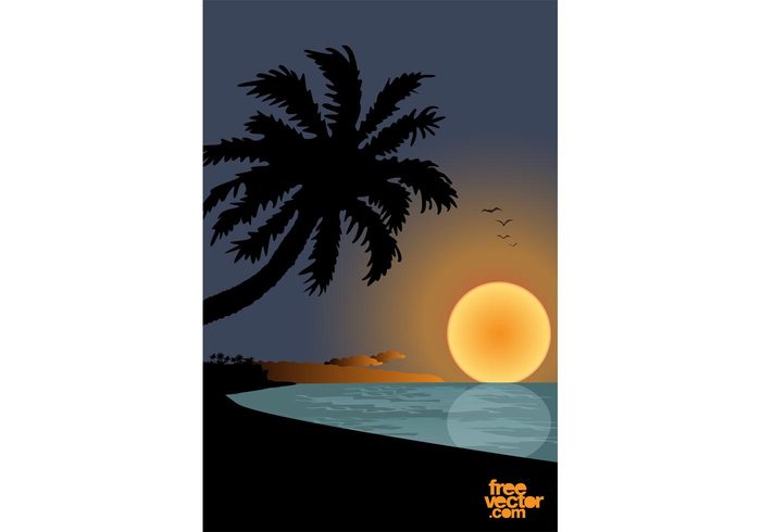 vacation tropical sunset sun seaside sea palm ocean holiday exotic birds beach 