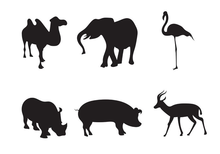 turkey silhouettes silhouette sheep poultry pig nature isolated horse farming farm cow black animals animal silhouette animal african 