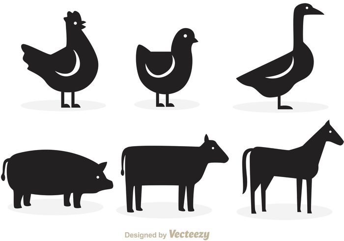 silhouette rooster silhouettes rooster silhouette rooster poultry pig horse Hen Fowl farm animal farm duck cow chicken silhouette chicken chick black animal silhouette animal 