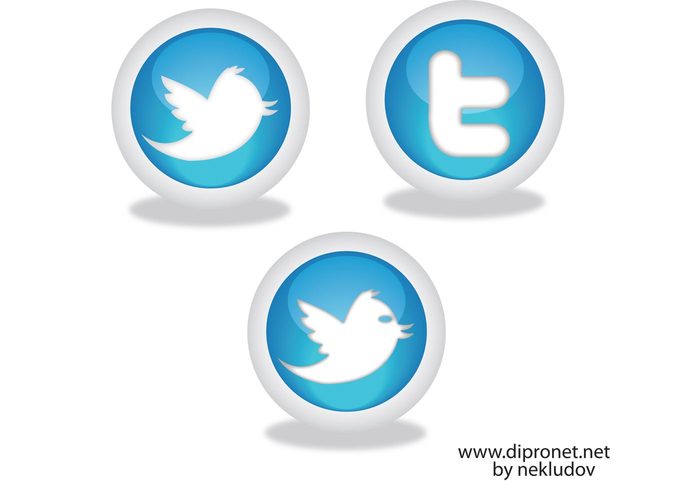 website icon website twitter bird twitter tweet technology icons iconos icon Color Logo  