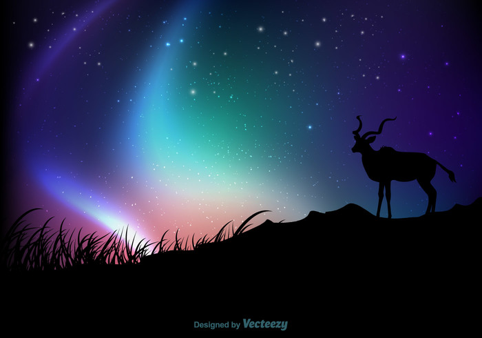 wild vector template star sparkling spark space sky shooting shiny romantic reflection Polar norway northern lights Northern north night nature mystery magical lights illustration hipster gradient glow glitter effect dream deer dark cosmos colors colorful bright boreal black beautiful background backdrop aurora astral animal abstract 