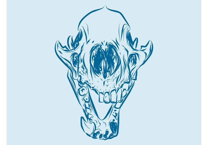 teeth Skull vector skull sketch skeleton scary horror head hand drawn Fangs death dead bones 