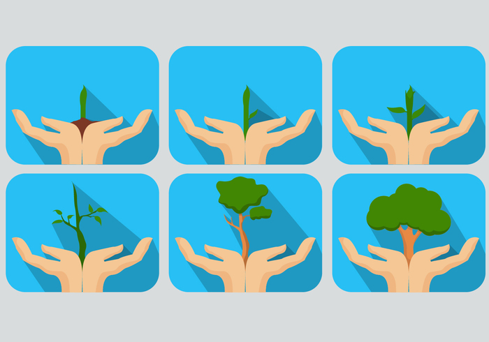 tree Shielding seedling responsibility plant people nature lifestyles life leaf Human holding hand growth green gardening hands gardening hand gardening Fragility environmental environment development Cultivated conservation care agronomy agriculture 