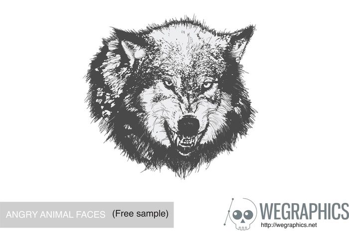 wolf scary face animal 