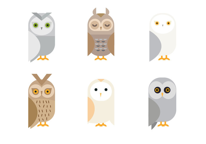 wildlife white themes symbol Species sparrow snowy simple owlet owl isolated Horned grey funny fun flat element eared eagle design cute collection character cartoon bird barn owls barn owl barn abstract 