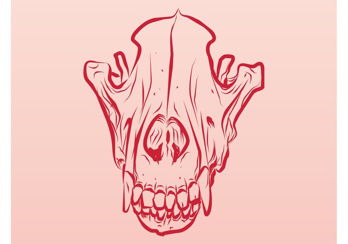 teeth tattoo Skull vector sketch skeleton scary horror hand drawn Fangs death dead bones animal skull  