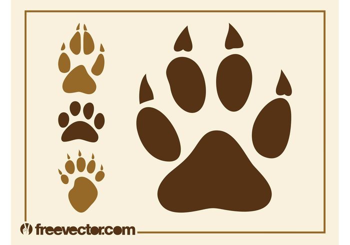 wildlife paws Paw prints paw print paw Pads footprints dog claws Claw cat bear animals animal 