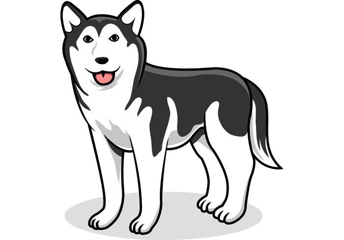 wolf Siberian pet mascot Husky dog husky domestic animal dogs dog mascot dog animal 
