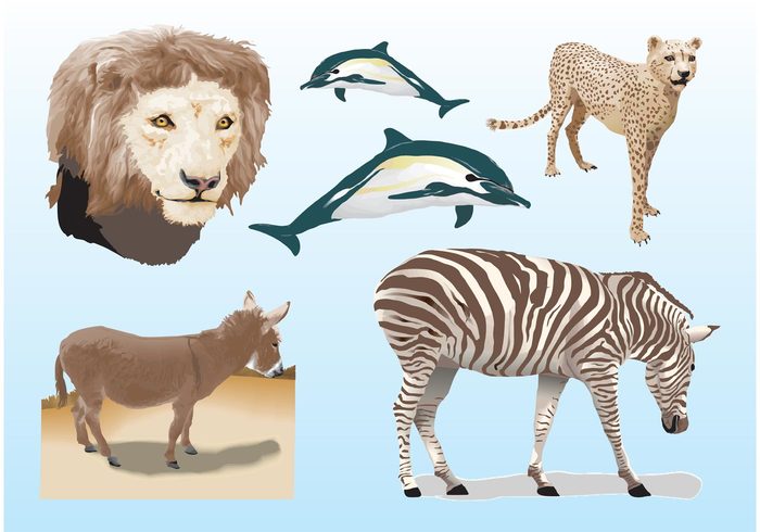 Zoo zebra wildlife travel safari Realistic vector lion fauna exotic donkey dolphins cheetah Adventure 