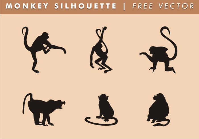 wild animals wild tail silhouette shapes Primates Primate nature monkey tail monkey silhouettes monkey silhouette monkey shapes monkey long tail hairy gorilla free monkey silhouettes curious animals curious climbing climber climb Chimpanzee black silhouettes black ape animals animal agile 