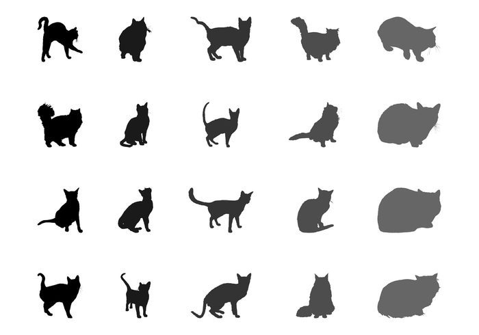 walk tail sit silhouettes silhouette pet fur Domesticated cats Cat breeds cat breed animals animal 