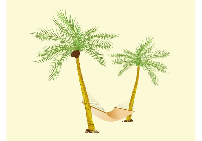 vacation trunks tropical trees summer rocks Relaxation palms leaves holiday hammock exotic coconuts 