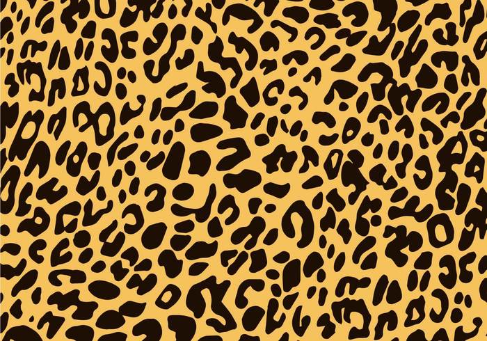 Wild life wild animal texture Textile skin print leopart pattern leopard print background leopard print leopard background animal print pattern animal print animal 