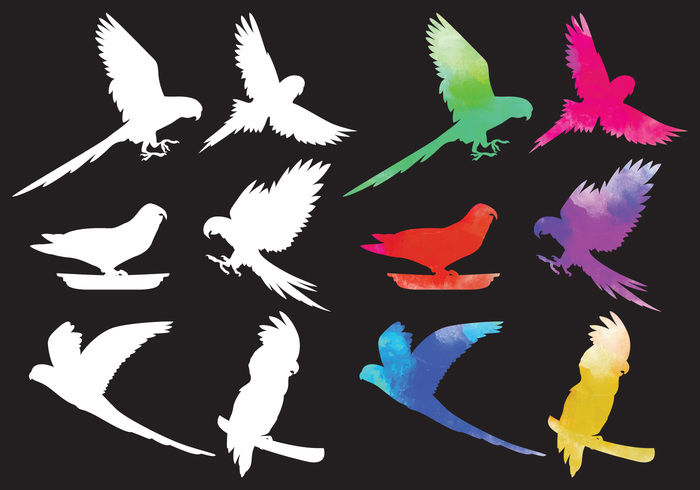 wildlife silhouette parrot nature Macaw isolated flying birds flying bird silhouettes flying bird silhouette flying flight cockatoo birds bird animal silhouette 
