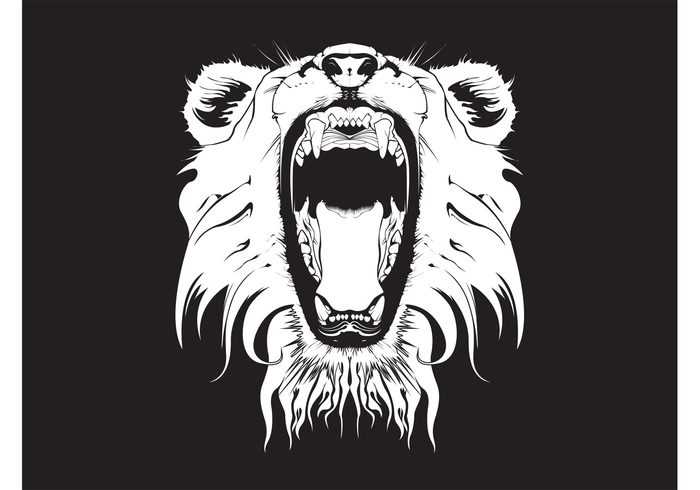 Wild car wallpaper roar nature mouth lion head fauna ears black and white Big cat background animal angry  