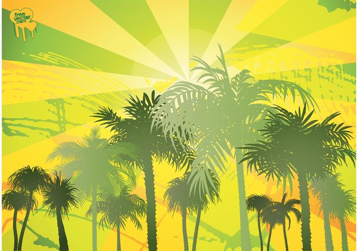 vacation trunk tropical tree travel sunny paradise Palm vector palm trees palm nature natural leaf exotic contour coconut 