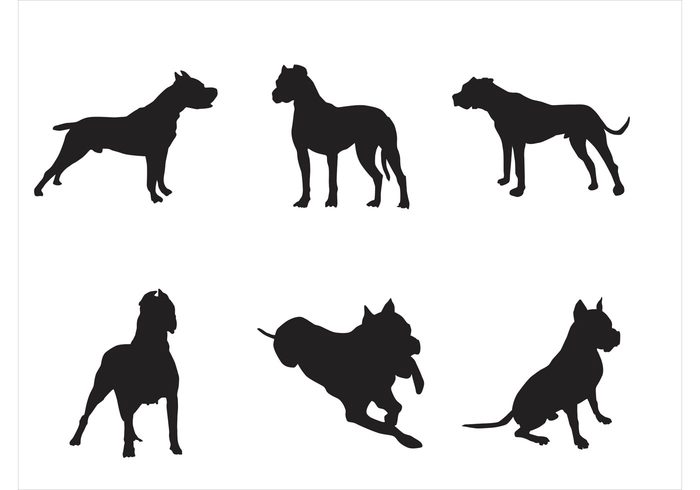 Terrier Shepherd Retriever puppy mammal Domestic dogs Doggy doggie dog silhouette dog bulldog boxer animal silhouette animal 
