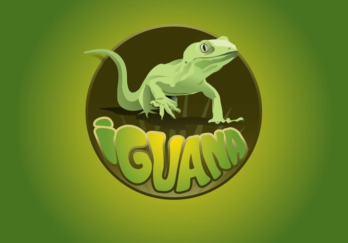shop pet logotype lizar iguana green gecko business animals animal 
