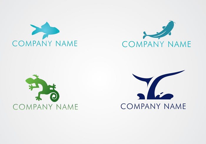 whale identity gecko fish business animals 