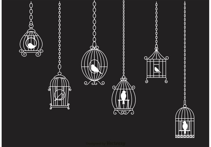 wildlife vintage bird cage vintage silhouette retro pets nature hanging bird cages hanging decoration chain Canary cage birds birdcage bird cages animals 