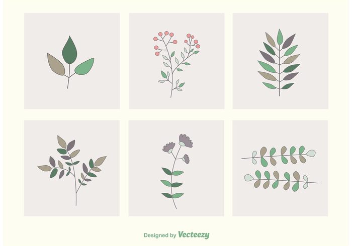 vintage simple leaves plant organic nature icon nature meadow leaves leave leaf Herb garden foliage flower floral branch botany botanical blossom 