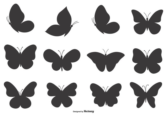 wings wing white vector shapes vector swirl summer spring silhouette shapes shape set shape pattern papillion nature line isolated insect shape insect illustration growth graphic fly element elegance decoration curve contour collection butterfly shape butterfly butterflies black beauty beautiful background abstract 