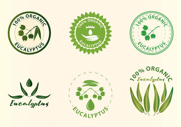 vector tree symbol sign set plant organic nature natural medicine logo leaf isolated on white background isolated Idea icon herbal gum leaves green friendly exotic eucalyptus element eco design culture creative concept branch Australian Australia aromatherapy abstract 