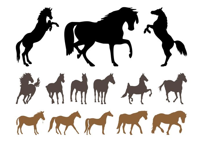 tail silhouettes silhouette run mane Livestock horses horse farm animal donkey Domesticated animals animal 