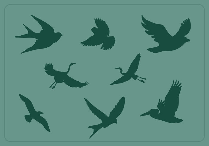wing swan sky silhouette nature migrating freedom flying bird silhouettes flying bird silhouette flying fly birds bird silhouettes bird silhouette bird animal silhouette animal 