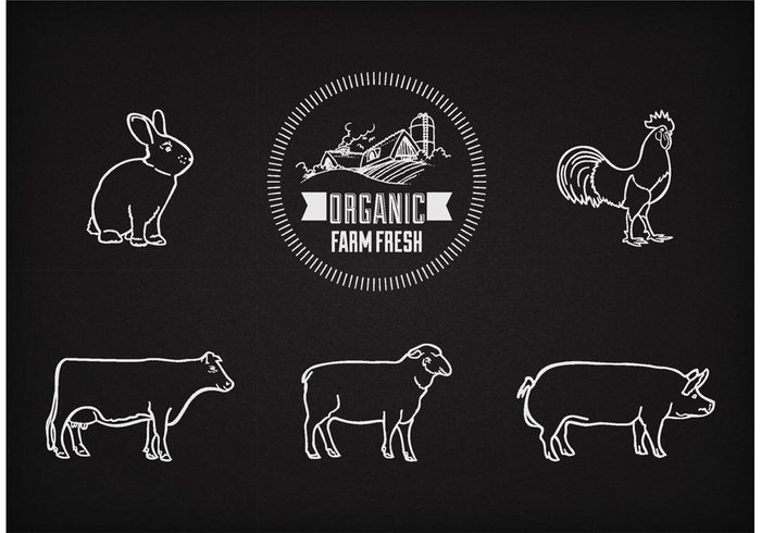 white vintage vector text sheep retro restaurant rabbit poster pork pig pencil outline menu meat meal list line lamb isolated info illustration icon hog hand graphic food farm drawn drawing doodles Cuisine cow chicken chalkboard chalk blackboard black beef animals 