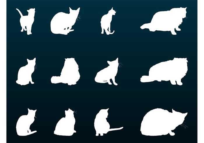 silhouettes silhouette pets Domesticated Domestic cats Cat breeds cat breed animals 