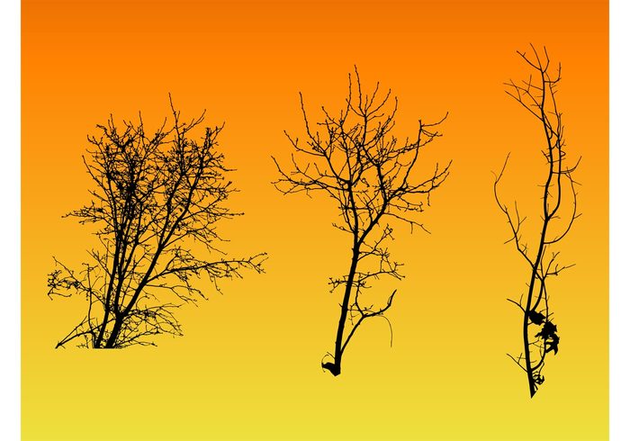 twigs trees Simplified silhouettes park nature Minimal stylized leaves garden forest 