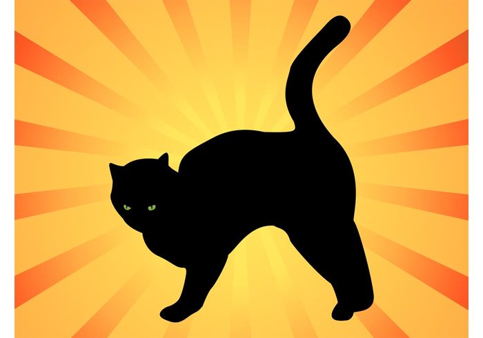Veterinarian vet tail silhouettes pet kitty fur food eyes Domesticated dark animal angry 