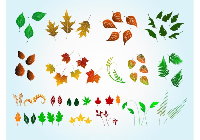tree trace spring seasons park nature leaves Leaf vectors leaf garden forest foliage flora Fall brushes autumn 