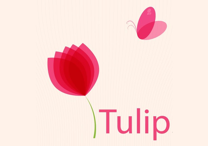 tulips tulip stem plant nature leaf flowers flower floral butterfly 