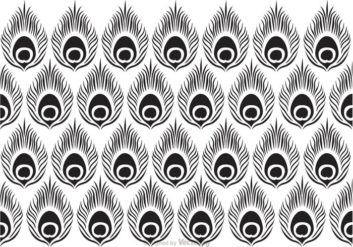 wrap wallpaper texture tail shape seamless scrap print peacock pattern peacock pattern ornate ornament modern line lace feather fabric decorative black background abstract 