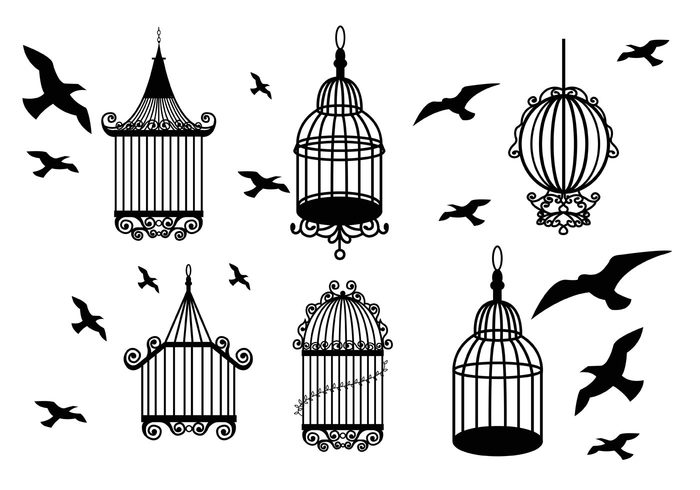 wing vintage bird cage vintage Trapped silhouette retro bird cage pet object hanging freedom feather enclosed Canary cage birdcage bird cage bird antique 
