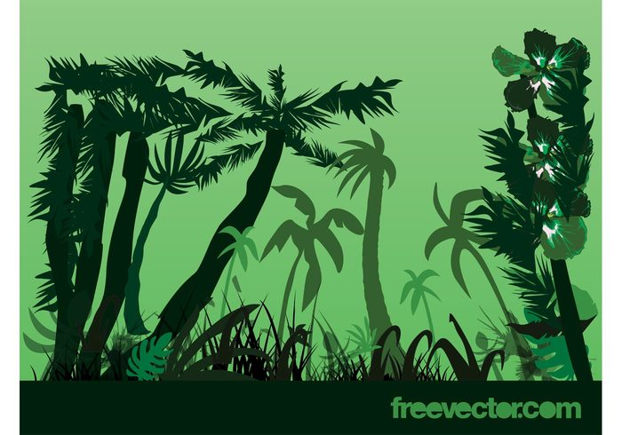 tropical trees Stems silhouettes Rainforest plants palms nature leaves flowers flora exotic 