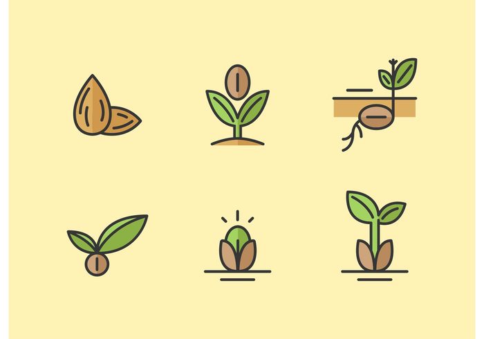 sprouting seed seeds seedling seed icon seed plant nut nature Minimal design minimal green go green gardening garden seed garden flat farming farm ecologic eco agriculture 