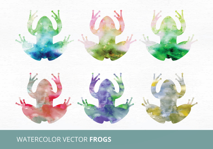 wild watercolor frogs watercolor frog watercolor collection watercolor painted frog painted nature illustration green tree frog green frog frogs frog collection amphibian 