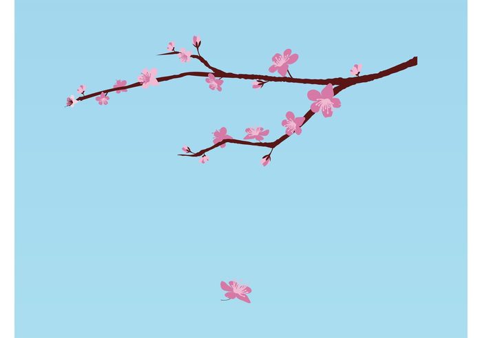 twig tree spring sakura nature japan fresh flower floral branch Blossoming blooming bloom 