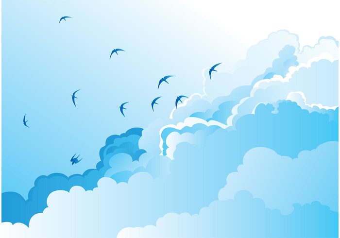 white wallpaper view sky nature freedom free flying fly Flash clouds blue birds animals 