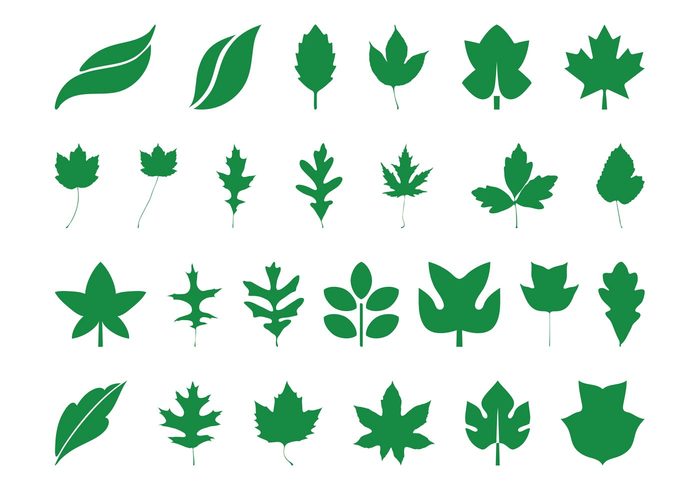 trees stylized silhouettes plants oak nature maple leaves leaf icons flora eco 