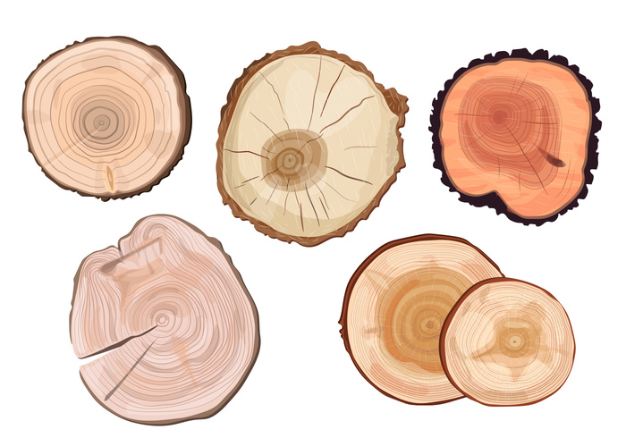 wooden wood white watercolor wallpaper trunk tree rings tree ring tree timber texture Surface stump Split slice shape section round rough ripple ring print plant pine paint organic nature natural material lumber Log line life isolated height handcraft growth fractal forest draw cut CONCENTRIC circular circle brown Annual Age 